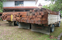 Dishut Segera Lelang Kayu Hasil Sitaan
